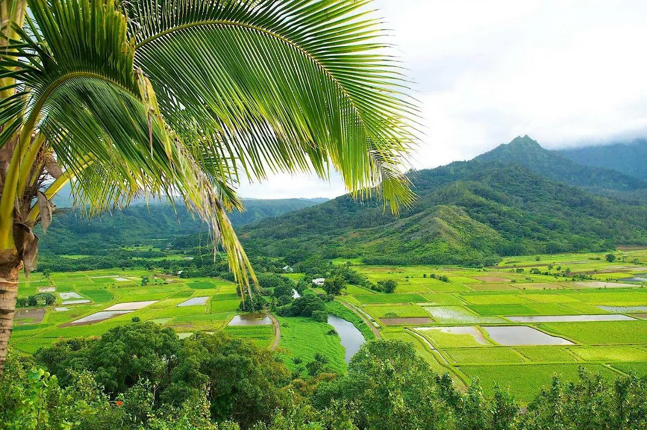 Διαμέρισμα Waipouli Beach Resort Exceptional Condo Pool View Condo Kapa'a